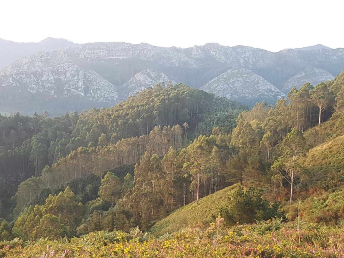 La Vierta Casa Rural Agroturismo Ribadesella Bagian luar foto